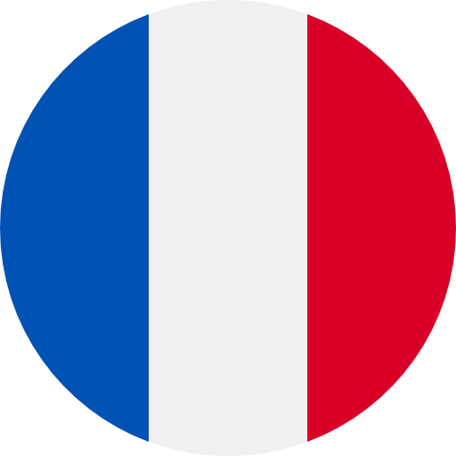 /img/flags/fr.png Flag